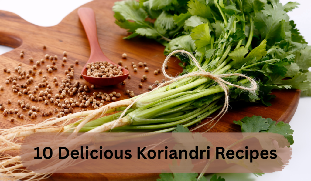 fresh koriandri coriander leaves green herb close up