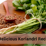 fresh koriandri coriander leaves green herb close up